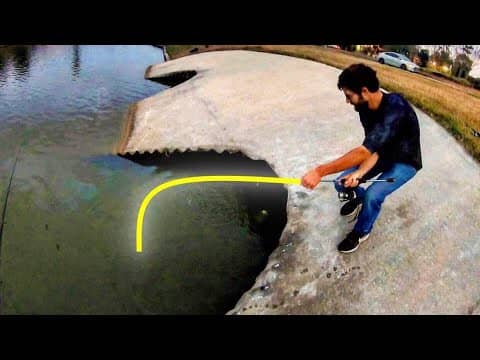 CRAZY FISHING in INNER CITY POND!! (3 SPECIES)