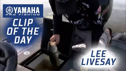 Yamaha Clip of the Day - Livesay's last-second upgrade