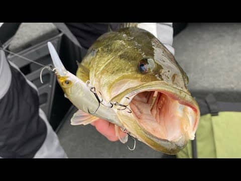 Wake Up Call…Bass Are Evolving To NOT Bite Our Lures