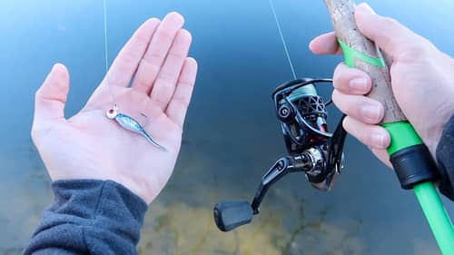 Catch 15x MORE Fish This Winter (Bass Fishing Tips)