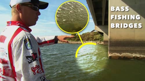 How to Methodically Bass Fish a Bridge