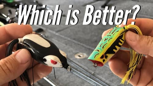 Best Frog For Bass Fishing? (Frogs And Colors Explained)