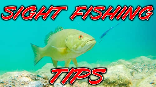 Sight Fishing Tricks You Don't Know! (How We Catch Big Bass)