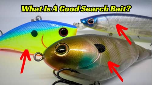 Here’s Why Search Baits Are Critical To An Anglers Success For Big Bass!