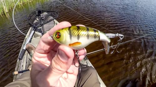 Whopper Ploppin' Spring Pike And Bass!