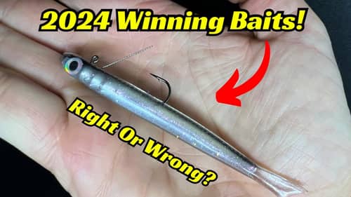 These Will Be The Winning Baits In 2024!