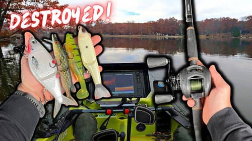 Swimbaits Get Destroyed By INSANELY AGGRESSIVE Fish!