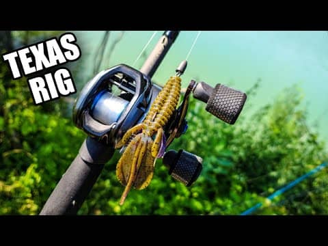 Bank Fishing with a Texas Rig | Reaction Innovations Kinky Beaver