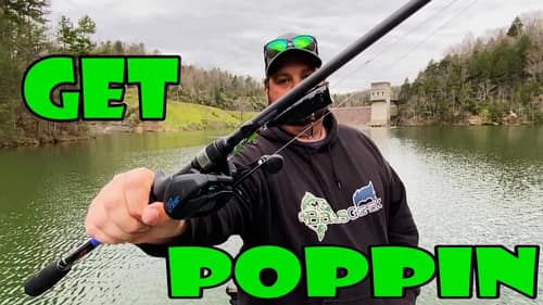 TopWater for ALL Stages of the Spawn
