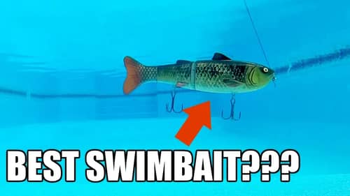 Which Swimbait has the BEST Action??? -Underwater Testing
