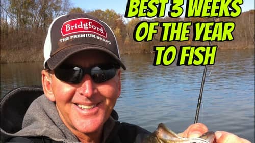 Top 5 Baits for Fall Bass Fishing - Bryan Thrift