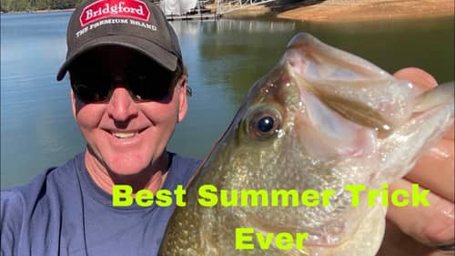 It Took Me 30 Years To Learn This July Bass Fishing Trick..