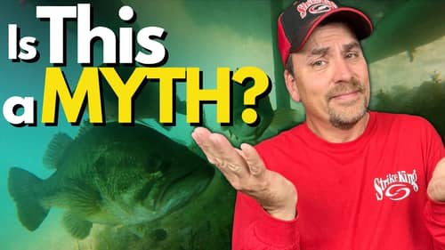 The TRUTH About Bass and Water Temperature - Underwater Proof