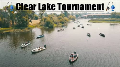 Clear Lake Drop Shot Bass Fishing. Oroville Bass Masters Club Tournament