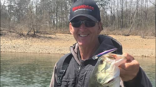 How To Catch Bass On Jerkbaits WITHOUT Using Livescope