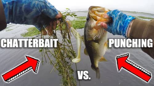 WHEN...WHY...WHERE To Switch From a CHATTERBAIT to PUNCHING Fishing for BASS
