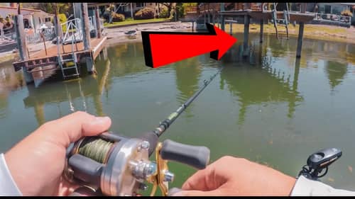 Dock Fishing Made Easy - How To Catch EVERY Bass!