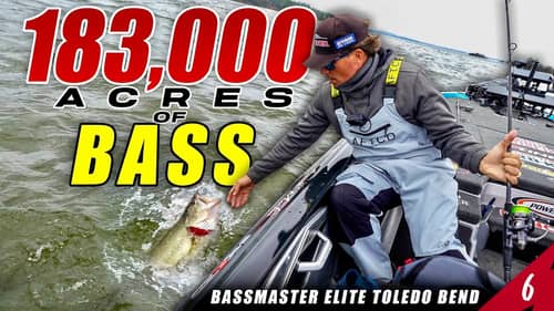 183,000 Acres of GIANT BASS - Bassmaster Elite Toledo Bend (Tournament) - UFB S4 E06