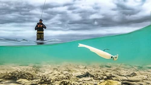 The Lure that Changes Redfish Fishing