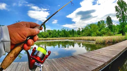 Bluegill Bed Fishing! How To Find Bluegill Beds