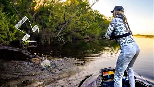 These Tricks Are Why Some Anglers Catch ALL The BIG BASS In Spring! (Spring  Sight Fishing) 
