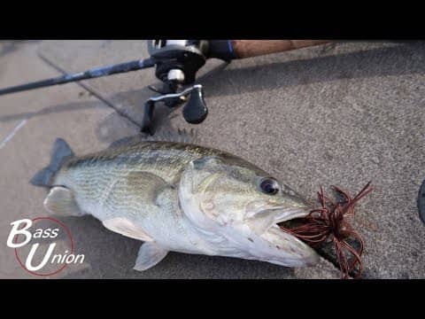 !!!EPIC WINTER JIG FISHING!!! Catching Giant Bass on Lake Oroville With NO MERCY!!!