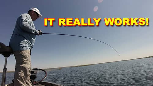 Ultimate Guide to Bass Fishing Equipment for the Texas Rig | Bass Fishing