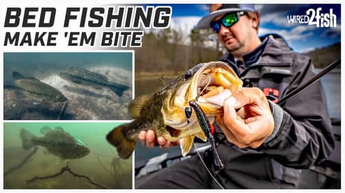 Bed Fishing Tips: Catch More Bass During Spawn!