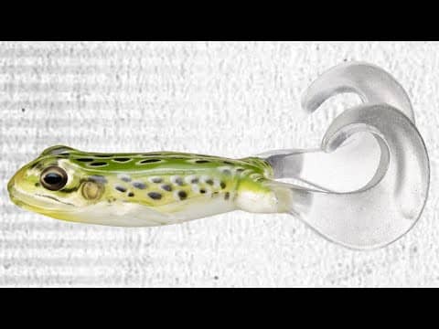 BEST NEW LURES - ICAST 2019! TOP BAITS! LIVETARGET WINNING LURES! FREESTYLE FROG!
