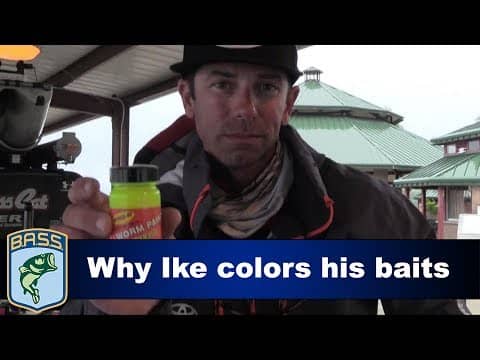 1-Minute Angler: Coloring baits