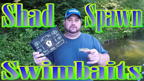 Swimbaits for the Shad Spawn