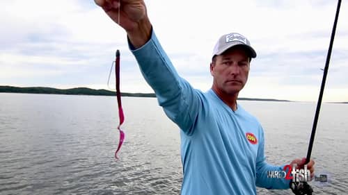 Get More Bites on a Plastic Worm with these Tricks