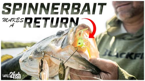 Spinnerbait Bass Fishing | A Lost Art Makes a Comeback