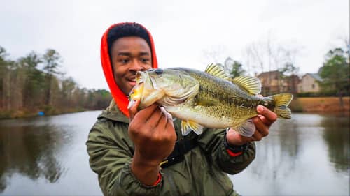Is This The BEST WINTER BASS FISHING LURE???