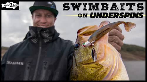 When to Fish Swimbaits on Underspins