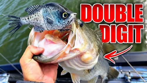 MULTIPLE Double Digit Bass in ONE DAY?! Ultra-Realistic Glide Bait gets CRUSHED!