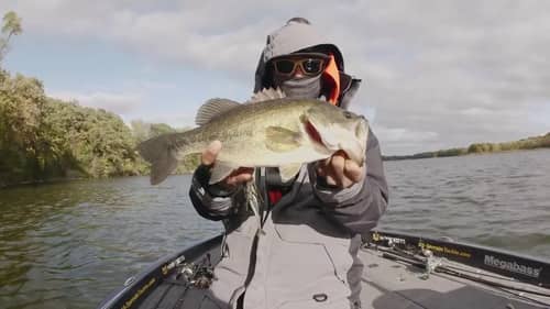Cold Front Bass Fishing with @BassBrawlOutdoors