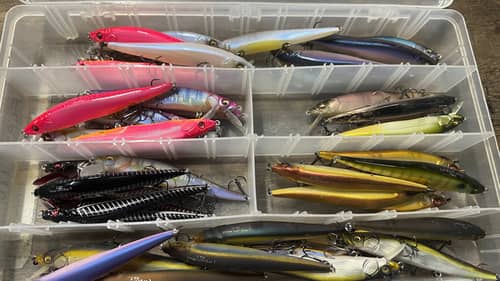 The Colors Jerkbait Masters Use…