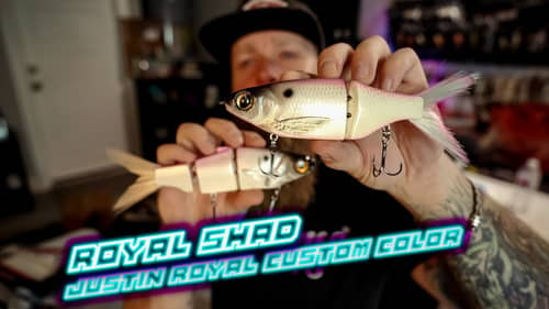 I GOT MY OWN CUSTOM CHAD SHAD COLOR! "ROYAL SHAD" By Peyton Stumpf and Trippple P Customs