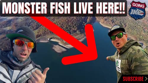 MONSTER Fish LIVE Here!!