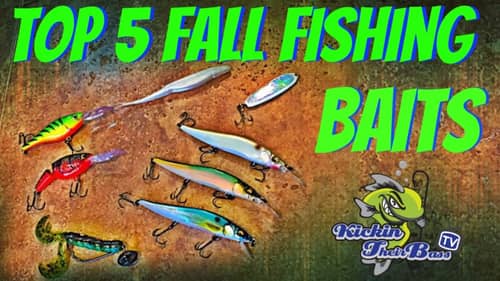 Top 5 Fall Bass Fishing Lures