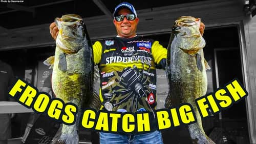 Best Buzz Frog Fishing Secret Tip - "Big Fish" Bobby Lane