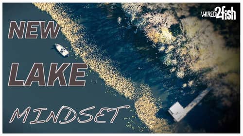New Bass Lake Breakdown | Florida Spawning Season