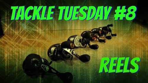 Tackle Tuesday #8 ~ Reels ( Best Fishing Reels )