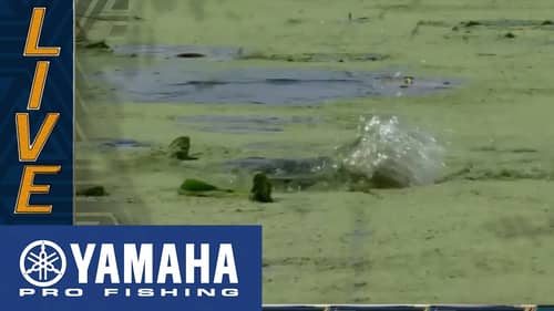 Yamaha Clip of the Day: Martin and Shryock end Day 1 with a topwater upgrade