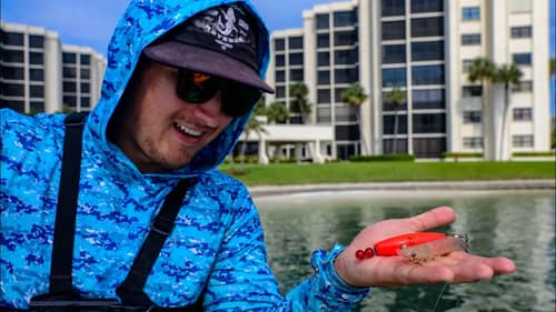 Fishing with Live SHRIMP The EASIEST Way To Catch Saltwater Fish + Insane Day of Fishing