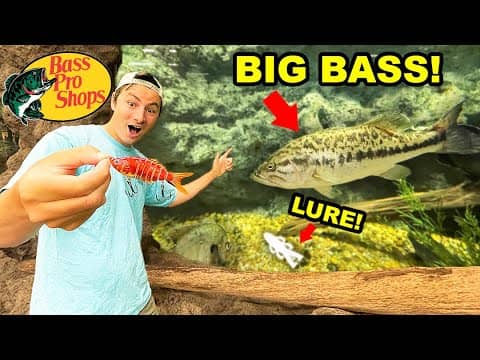 Bass Pro Shops Fish PICKS My LURES Fishing CHALLENGE (BIG FISH CAUGHT!)