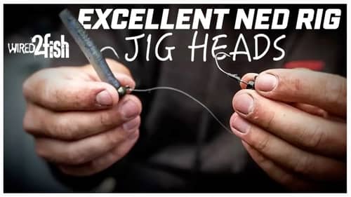 2 Proven Ned Rig Jig Heads and When to Use