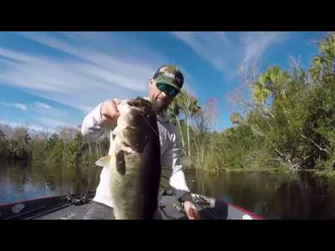 St. Johns River: John Crews' two giant bass on Day 1