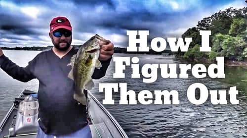 Bass Fishing around CRAZY Boat Drivers- Early Fall